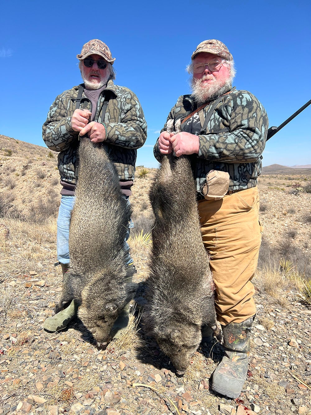 texas-hunting-resources-javelina-1 Hunt free-range javelina in West Texas
