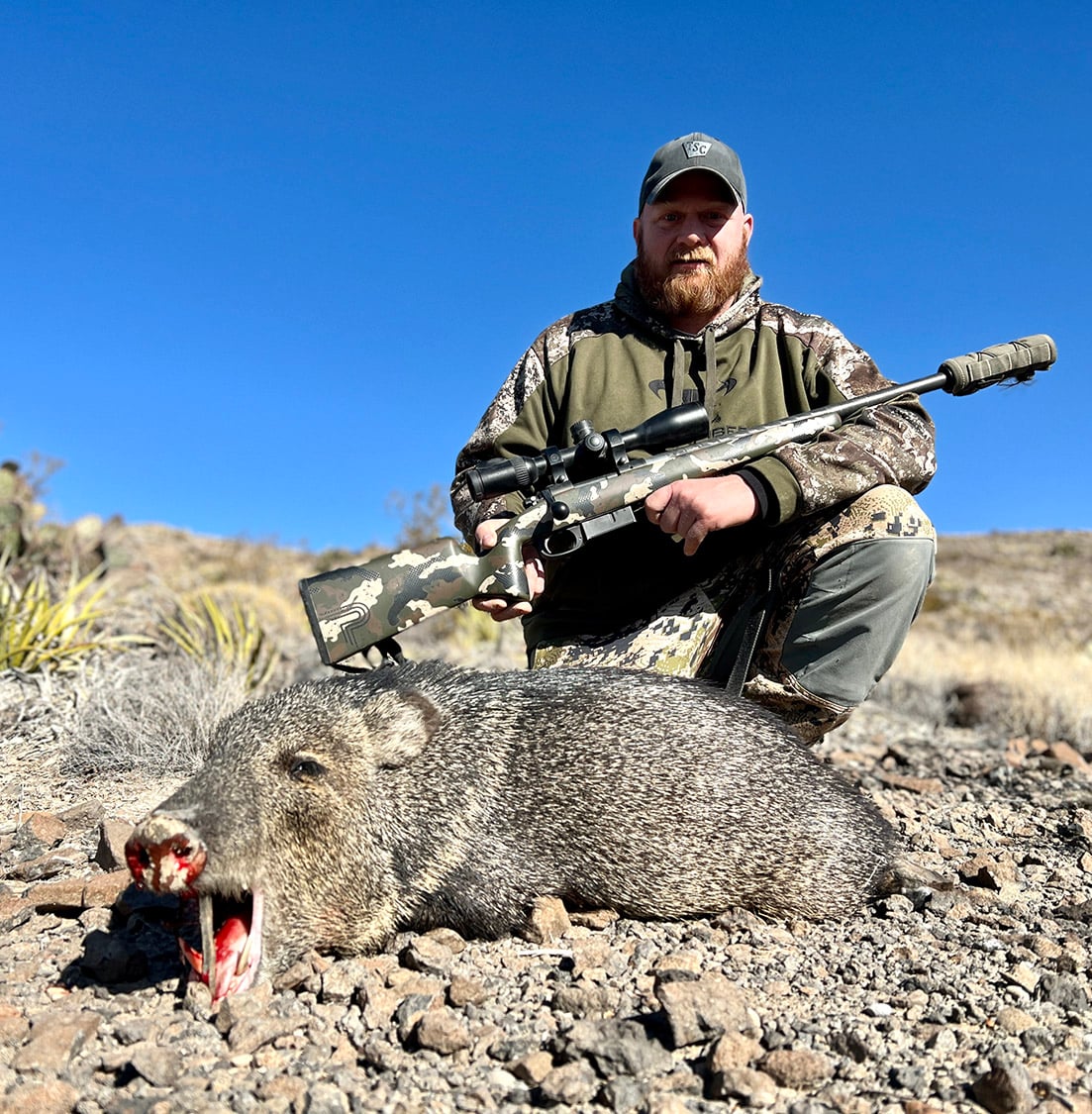 texas-hunting-resources-javelina-4 Hunt free-range javelina in West Texas