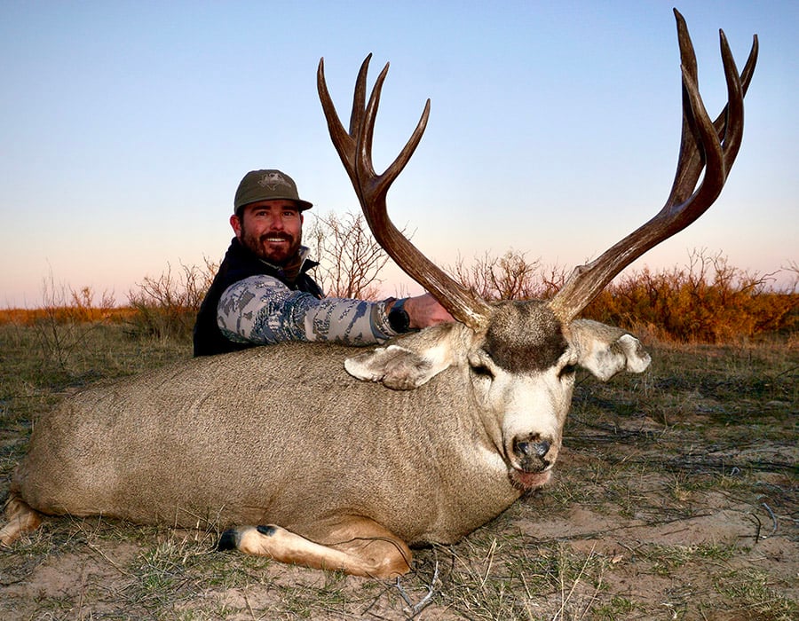 Pursue trophy mule deer across the canyons, mountains, and sandhills of West Texas with experienced guides and all-inclusive hunts.