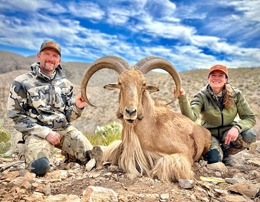 Hunt free-range trophy aoudad in the rugged mountains of West Texas with experienced guides, comfortable lodging, and unforgettable adventures.