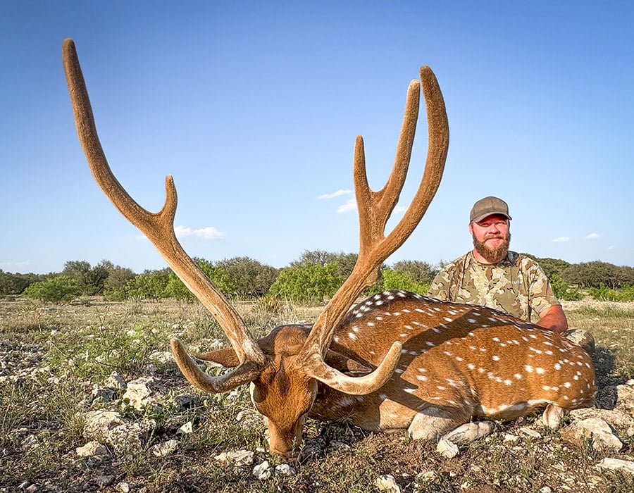 Experience year-round axis deer hunting in the Texas Hill Country with expert guides, comfortable lodging, and trophy opportunities.