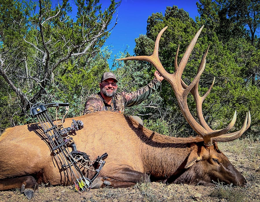 Experience guided free-range elk hunting in West Texas during the rut. Pursue trophy bulls with experienced guides on premier private ranches.