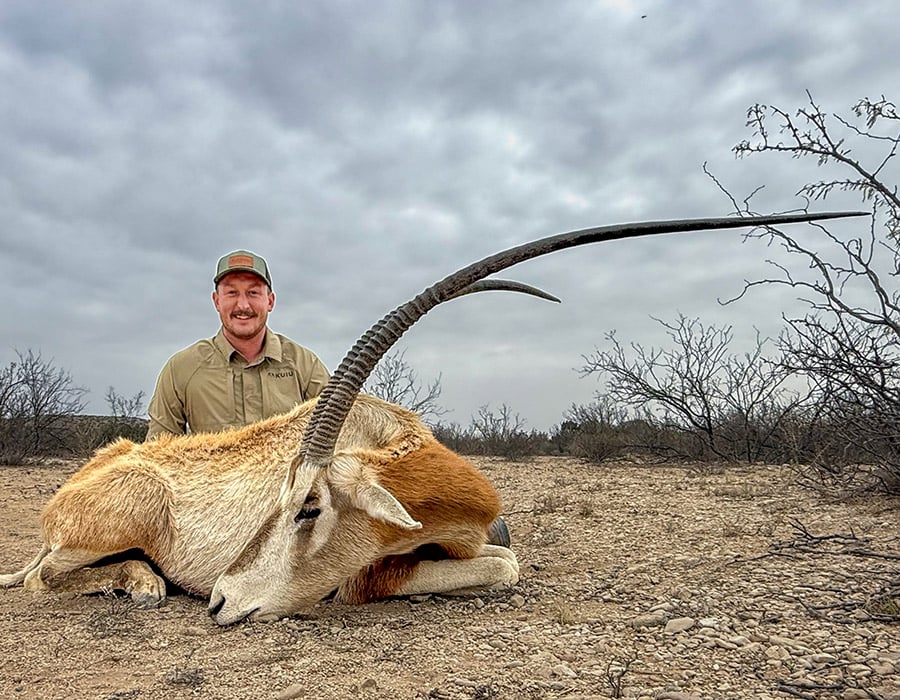 Hunt world-class exotic game across Texas, including axis deer, aoudad, blackbuck, elk, and more with experienced guides.